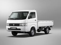 Suzuky Carry Pick up