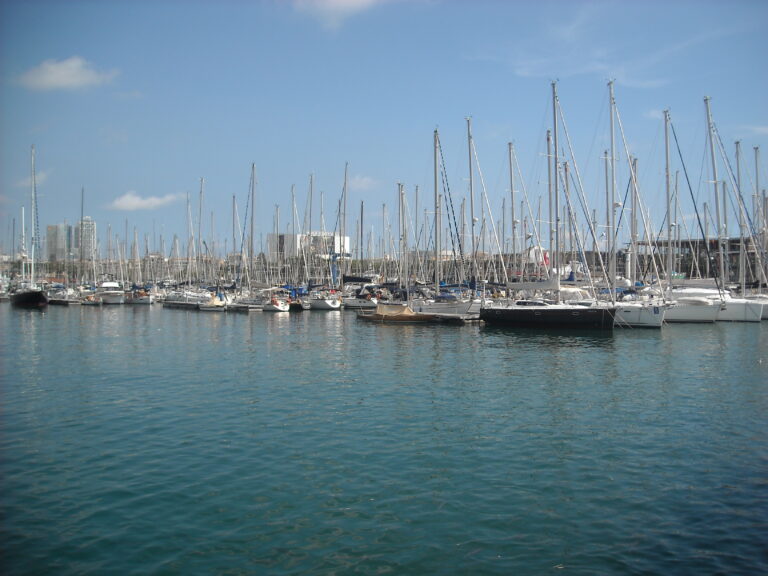Com Port