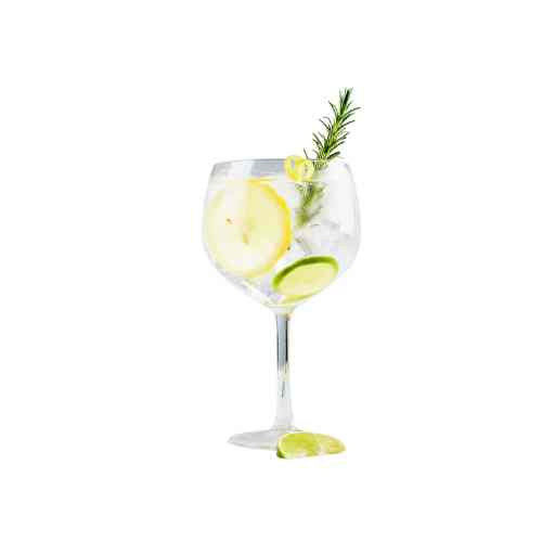 Gin Tonica
