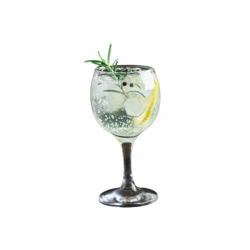 Gin Tonico Premium