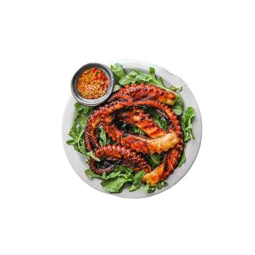 Grilled Octopus