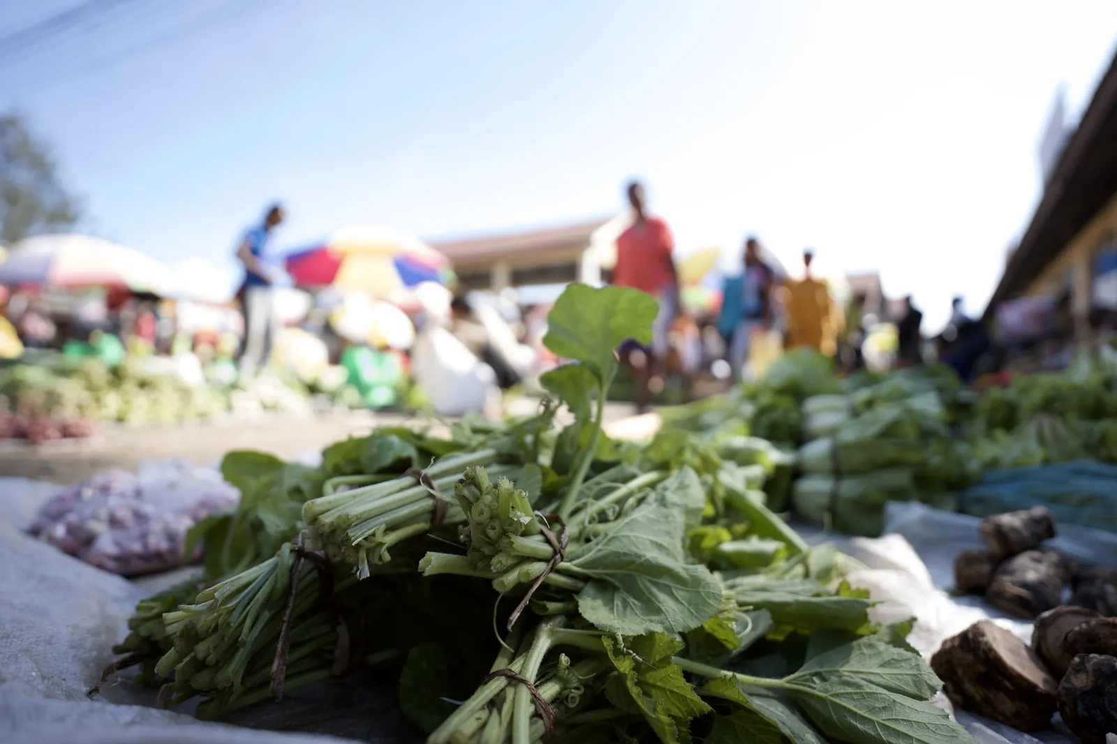 Aileu market stalls