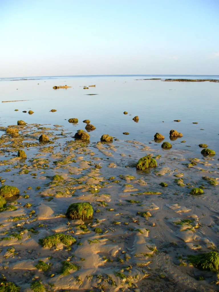 Pantai Wataboo Beach — File:Pantai Wataboo, Osolata, East Timor (310354361).jpg